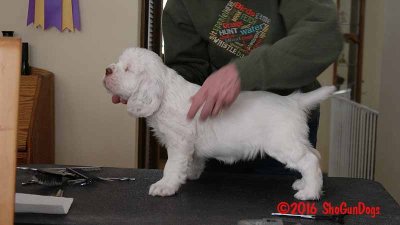 Gigi 2Litter 161211 035.jpg