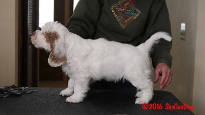 Gigi 2Litter 161211 040.jpg