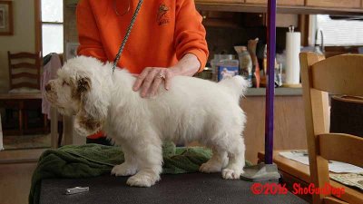 Gigi 2Litter 161216 046.jpg