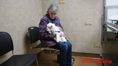 Gigi 2Litter 161216 058.jpg