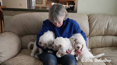 Gigi 2Litter 161221 015.jpg
