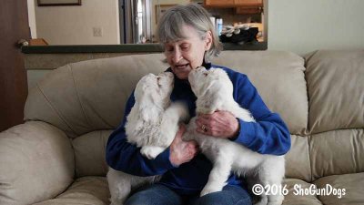 Gigi 2Litter 161221 026.jpg