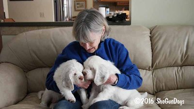 Gigi's Second Litter Week 9
