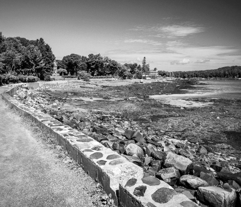 Along the Path 