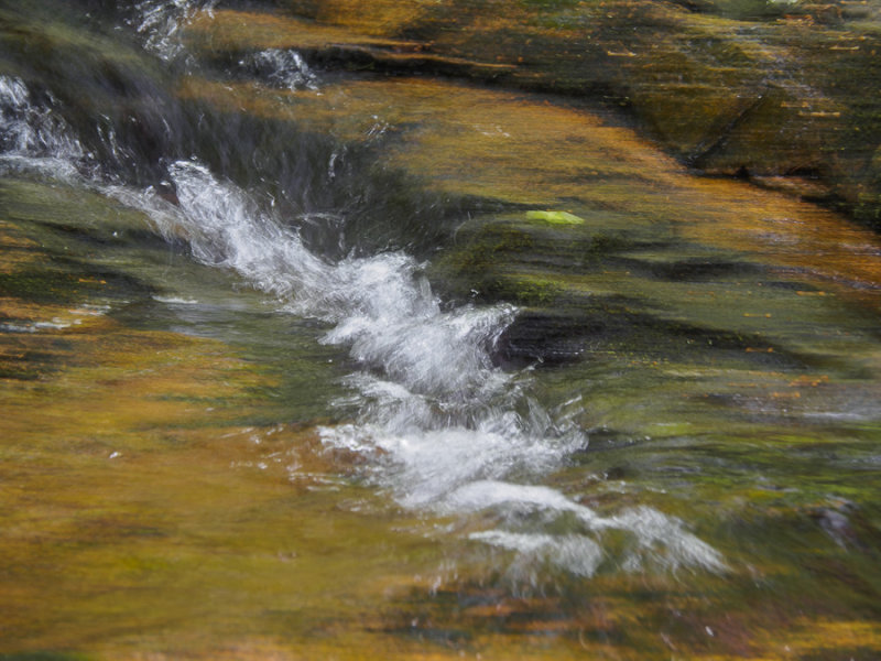  White Water 