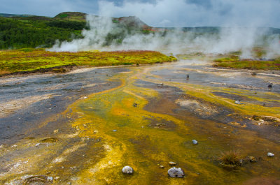 Geysir Geothermal Field