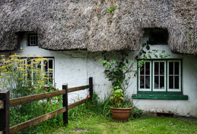 Thatched Roof 