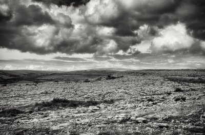 The Burren 