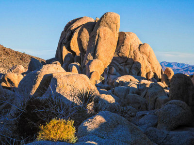 Joshua Tree NP Revisited 2015