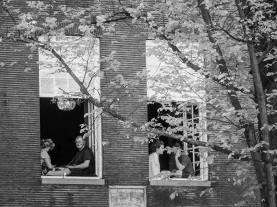  Couples in a Couple of Windows 