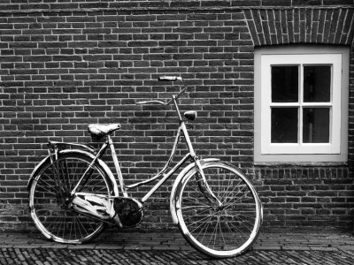 Portrait of a Bicycle 