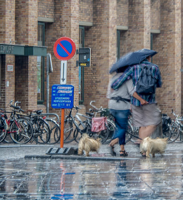  Downpour