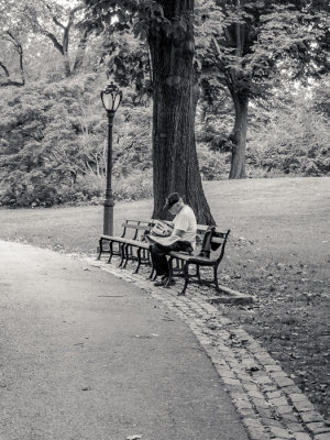 Solitary