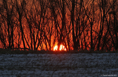Blazing-Sunset-9650.jpg