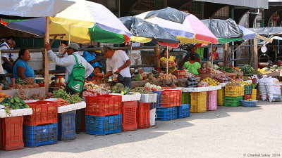 Market-in-Punta-Gorda-0845.jpg