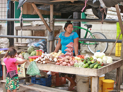 Punta-Gorda-Market-0881.jpg