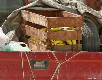 Banana-Delivery-4864.jpg