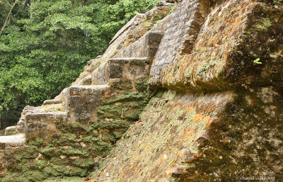 Lamanai-Mayan-Ruins-1499.jpg