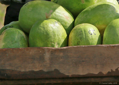 Melons-in-a-Cart-1830.jpg