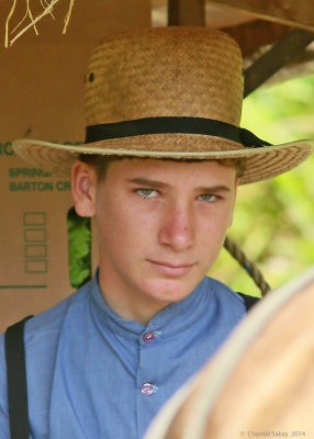 Young-Amish-Boy-1839.jpg