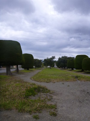 2012-12-11 09-45-43 - 0167.JPG