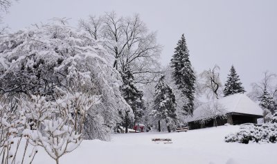 g9/82/720482/3/153919502.GR189axk.jpg