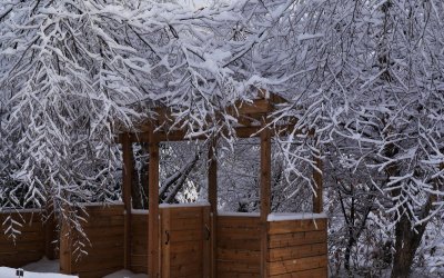 toronto_ice_storm
