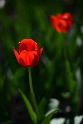 _DSC5403.JPG