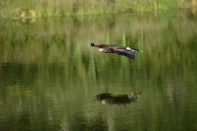 _DSC9448.JPG