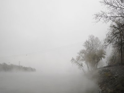 _1150167.JPG