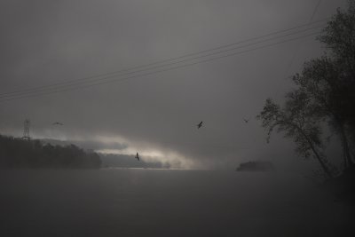 _1150189.JPG