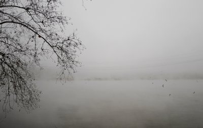 _1150166.JPG