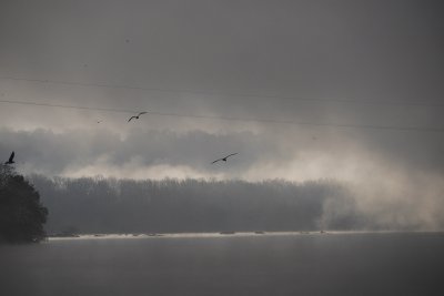 _1150196.JPG