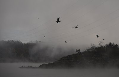 _1150206.JPG