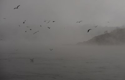 _1150252.JPG