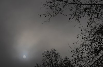 _1150257.JPG