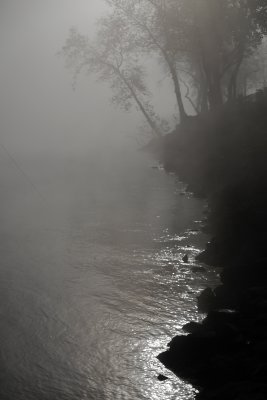 _1150274.JPG