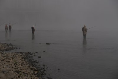 _1150282.JPG