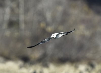 _DSC0863.JPG