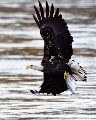 _DSC1326b.jpg