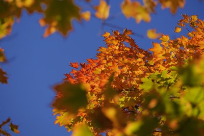 _1180642.JPG
