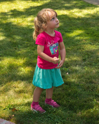Zoie's Road Trip - July 2013