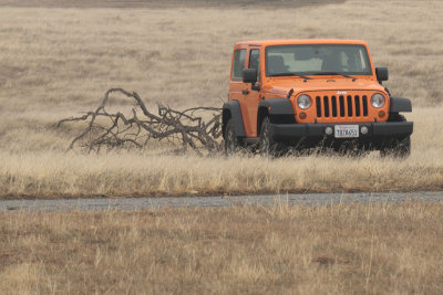 jeepworking