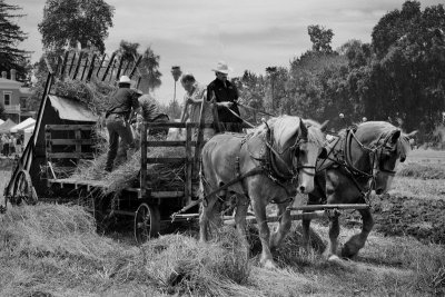 _MG_0688B&W.jpg