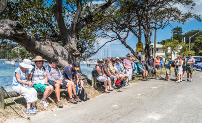 Probus - Manly to Spit Walk (February 2015)