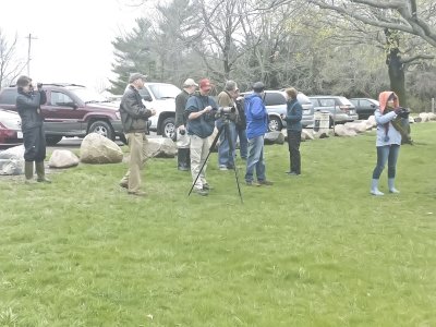 Long-tailed Duck [behind camera]
Martin [Greenbelt] L, Cedar Falls