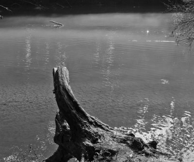 mist on the chattahoochee