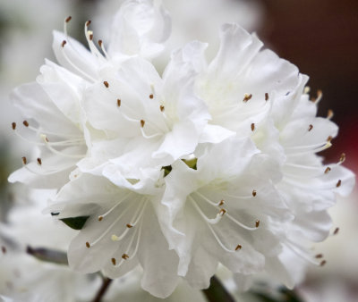 20150411_0703.jpg