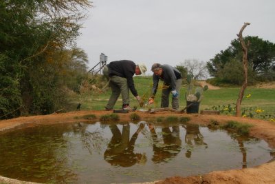 Preparing a perch