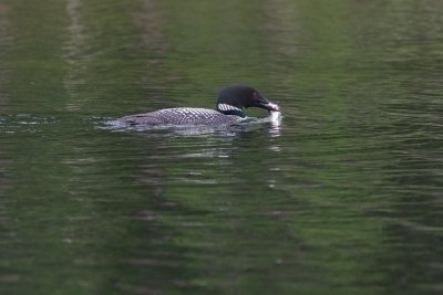 20150622 7I5A1862.jpg